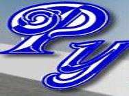 Patry srl ACQUISTIAMO AUTO E VEICOLI COMMERCIALI logo