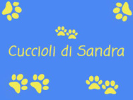 CUCCIOLI DI TUTTE LE RAZZE logo