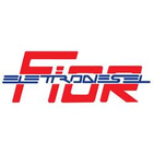 ELETTRODIESEL DI F.LLI FIOR GINO FEDERICO S.N.C. logo