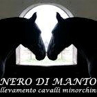 Azienda agricola NERO DI MANTO logo