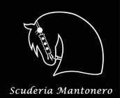 Azienda agricola NERO DI MANTO logo