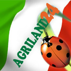 Agriland24 Srls logo