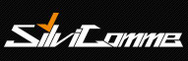 Silvi Gomme s.a.s logo