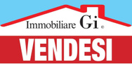 GI IMMOBILIARE DI BIAZZI SERGIO EFREM logo