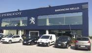 BARONCINI NELLO SRL logo