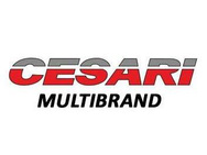 Cesari Multibrand logo