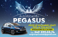 AutoRicambi Pegasus 3493990374 logo
