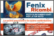 FenixRicambi 334 2307602 logo