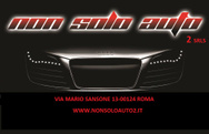 NON SOLO AUTO logo