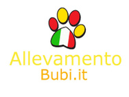 Benvenuto in allevamento Bubi logo