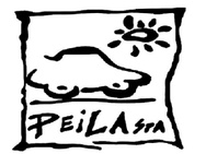FORD PEILA S.P.A