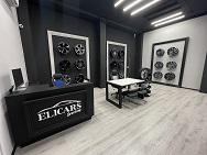 ELICARS SERVICES TORINO