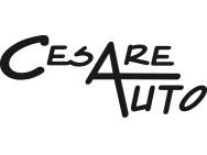 CESARE AUTO SRL Concessionaria HAVAL _Great Wall logo