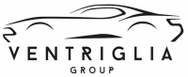 Ventriglia Group srl logo