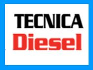 BOSCH CAR SERVICE TECNICA DIESEL TARASCO logo