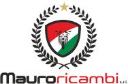 mauro ricambi srl logo