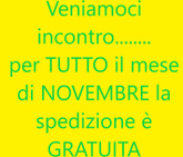 AUTODEMOLIZIONI VAL PELLICE logo