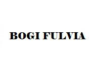 BOGI FULVIA logo