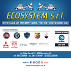 ECOSYSTEM RICAMBI USATI logo