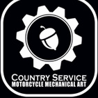 Country Service Viterbo logo
