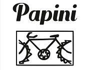 Papini Pisa logo