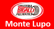 Bigalli Pneumatici logo